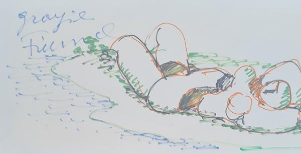 Salvatore Fiume Pennarelli colorati su cartoncino (con dedica) Asta n.14 | Gigarte