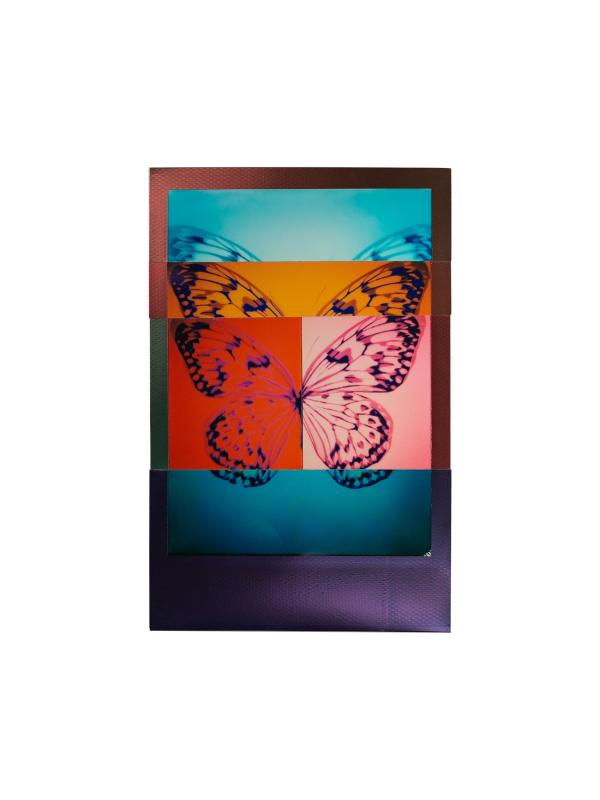 Massimiliano Muner Collage di Polaroid Instant Film Asta n.27 | Gigarte