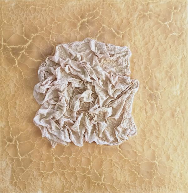 Massimo Falegnami Tecnica mista materico organico. Fondo farina e curcuma al centro tessuto colorato The e polvere oro Asta n.31 | Gigarte