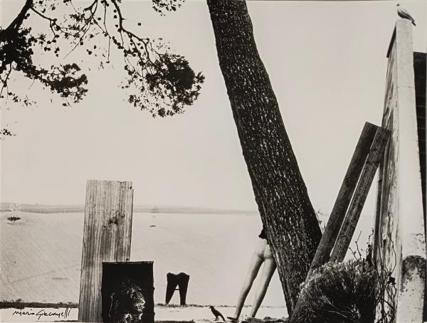 Mario Giacomelli Stampa su carta baritata Asta n.31 | Gigarte