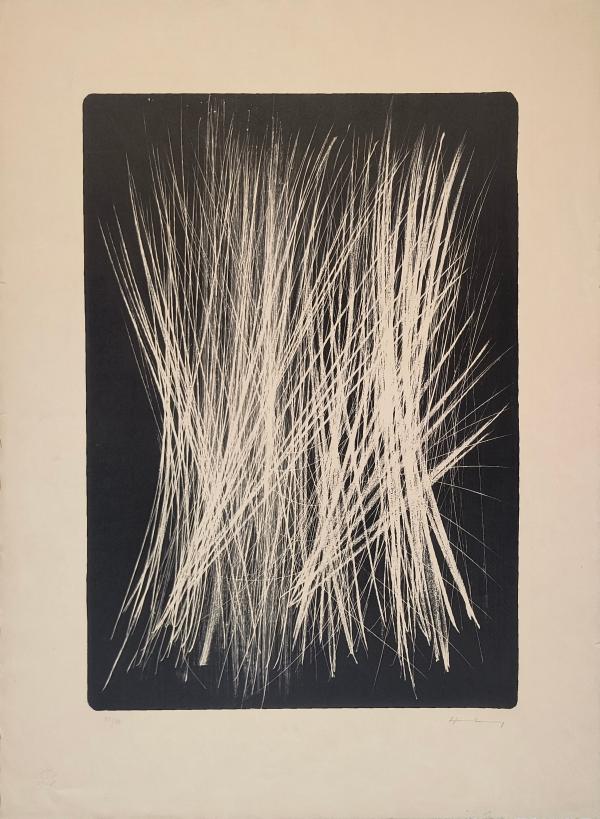 Hans Hartung Litografia esemplare n.55 di 75(Foglio 77cm x 56cm) Asta n.36 | Gigarte