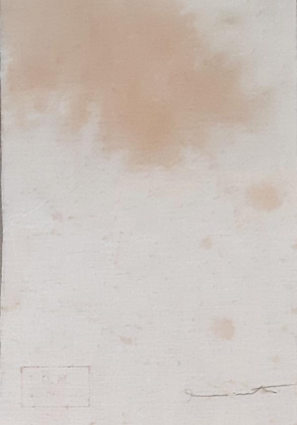 Hermann Nitsch Tecnica mista su tela Asta n.38 | Gigarte